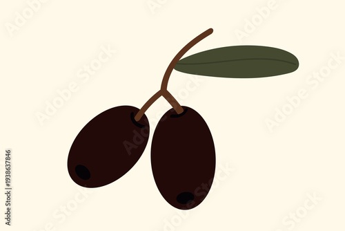 Minimalist vector illustration of two ripe black olives on a branch with green leaf, isolated organic mediterranean food icon