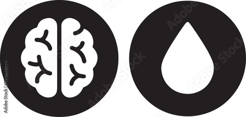 Brain and water drop icons representing neurology, hydration, and cognitive health.