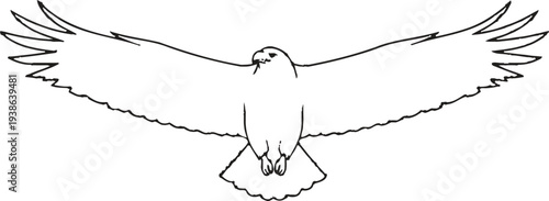 A minimalist line drawing depicts an eagle in mid flight with outstretched wings and focused gaze