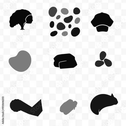 Collection of various kidney stone shapes and sizes