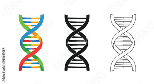 Vector illustration of dna double helix structures in various colorful and outline designs