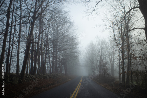 Canvas Print Tree lined country backroad winding through a foggy snowless winter landscape