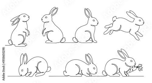 Seven line drawings show various rabbit actions clearly.