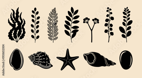 Stylized marine and botanical elements vector set. Black silhouettes of seaweed, seashells, starfish, and diverse plant sprigs for elegant natural design projects