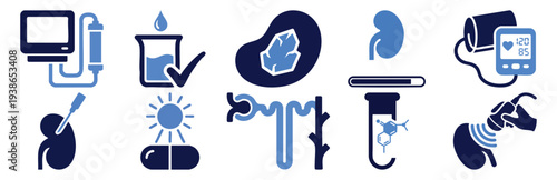 Kidney and Dialysis Icon Set in Two Colors CREATININE LEVEL, ULTRASOUND SCAN, PERITONEAL DIALYSIS, KIDNEY DONOR, PHOSPHATE BINDER, PATIENT MONITOR, W Flat Vector Illustration on Transparent Background