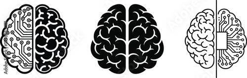 Brain hemispheres and lateralization illustrations