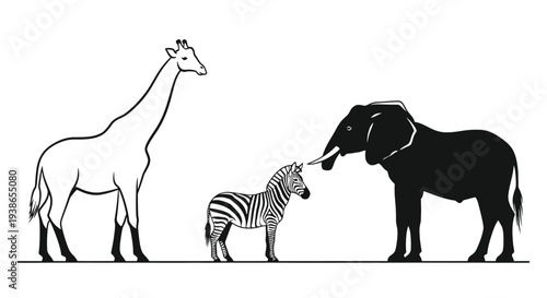 Safari Animals Size Comparison: Outline Giraffe, Striped Zebra, and Black Elephant Silhouette for Wildlife Education and Nature Designs