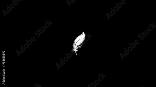 A singular white feather is centered on a stark black backdrop. It's delicate and detailed