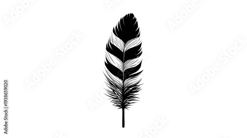 A detailed black and white illustration of a bird feather against a stark white backdrop