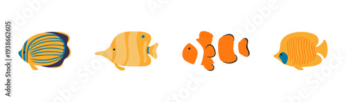 Coral reef fish illustration isolated set. Butterflyfish, clownfish, angelfish. Tropical resort, beach, marine wildlife. Summer holidays. Flat design element, clip art collection, hand drawn vector