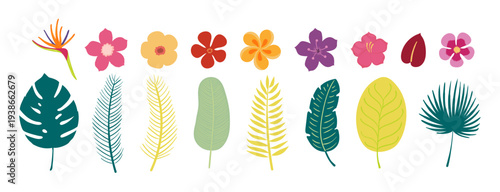 Tropical flower, blossom, palm tree leaf illustration isolated set. Seasonal design element, summer holidays, vacations, resort. Jungle, rainforest plant. Flat clip art collection, hand drawn vector