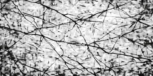 Snow covered tree branches with leaves in a cold winter landscape against a bright sky