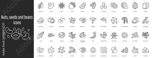 Nuts, seeds, and beans icon collection