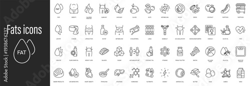 Fats icons: varied sources including avocado, cheese, nuts, and oils