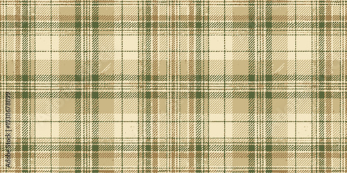 Classic beige and green plaid fabric with subtle texture and intricate weave details Vector