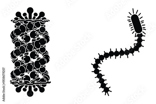 Microorganism and Bacteria Cell Illustrations