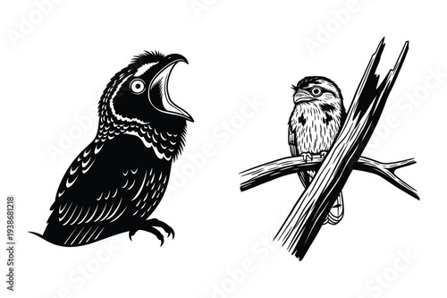 Chirping Bird and Perched Owl