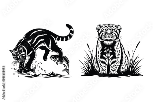Fishing Cat and Pallas's Cat Vector