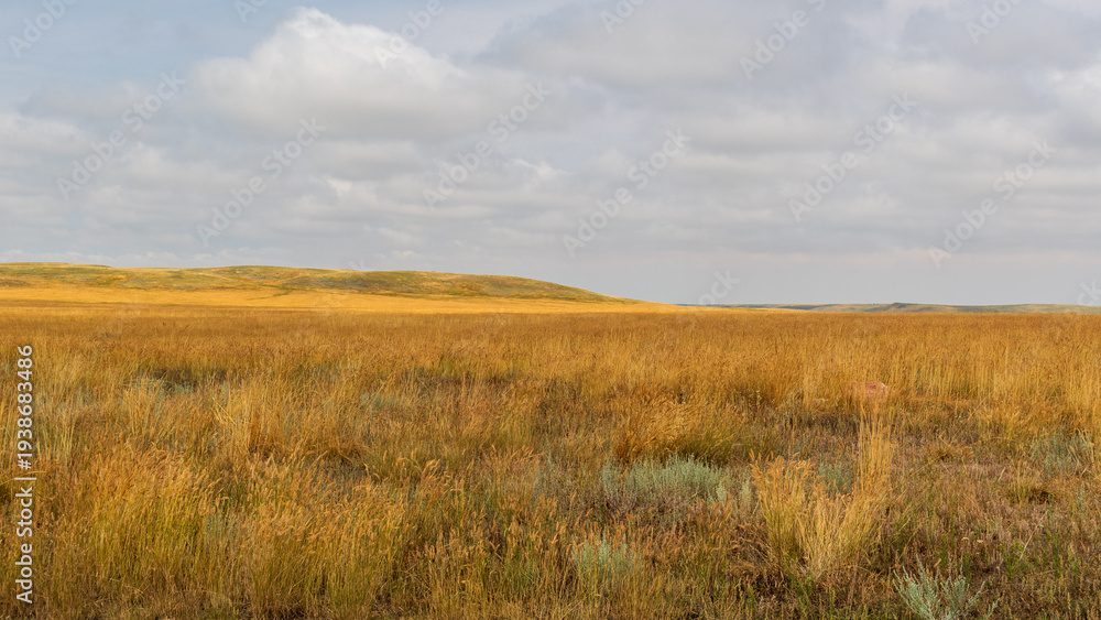 Obraz premium Expansive Prairie View With Puffy Clouds Over Saskatchewan