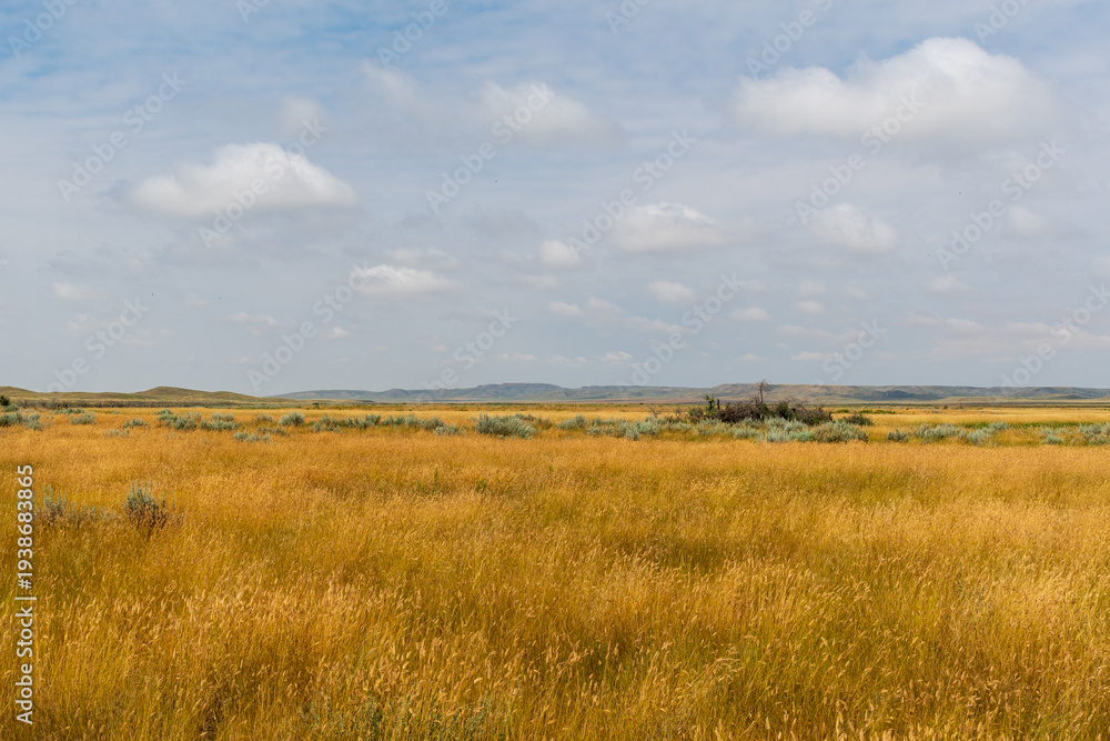 Fototapeta premium Prairie Horizon and Buttes Under a Bright, Partly Cloudy Sky