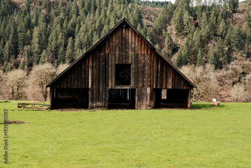 Weathered barn in green meadow of Oregon ranch land