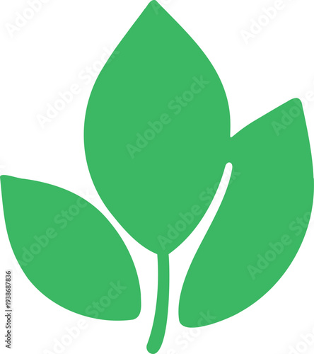 Stylized green sprig with three leaves on a white backdrop radiates freshness and growth