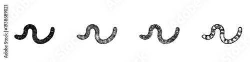 Sketch earthworm icon design set
