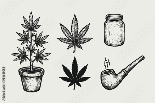Vintage Cannabis Sativa Plant and Smoking Pipe Sketches
