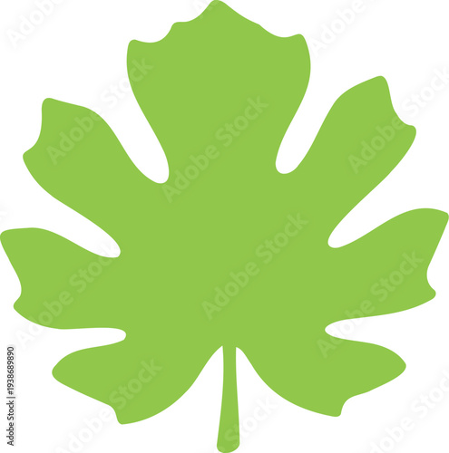 Illustration of a bright green fig leaf on a white backdrop with a simplistic design