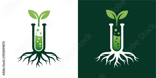 Green seedling growing from a...