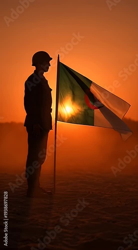 Silhouette of soldier holding Algerian flag at sunset