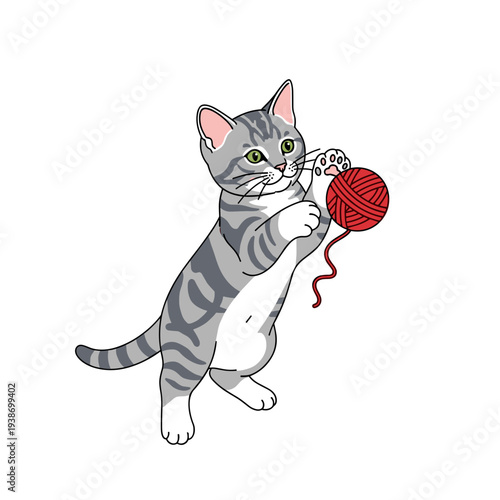 American Shorthair kitten playing with red yarn ball for cute pet and cat play illustration