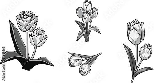 Black and white stylized vector graphics showcase various arrangements of elegant tulip flower blossoms and leaves.