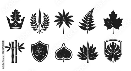 Botanical Leaf Emblems and Nature Symbols Vector