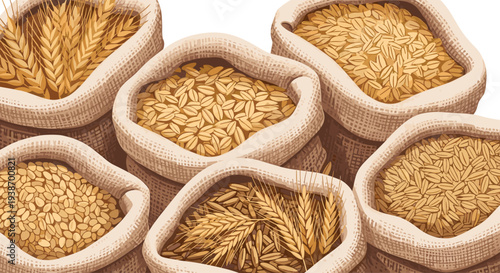 Six open burlap sacks are tightly packed together, each brimming with different varieties of golden grains including wheat, oats, and rice.