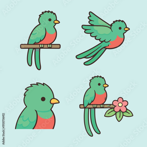 Quetzal Bird Clipart