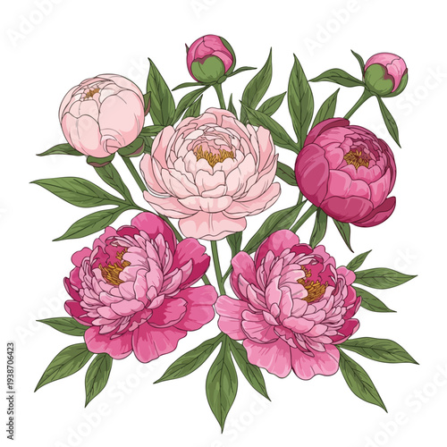 Elegant Soft Pink and Purple Peony Flower Bouquet for Nature and Floral Design