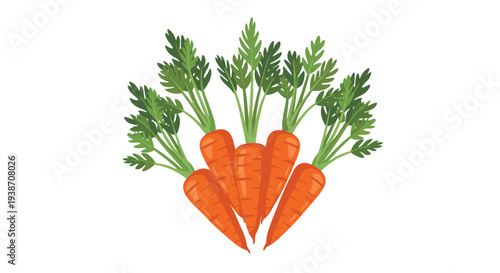 Five vibrant orange carrots with lush green leafy tops are fanned out in an upright, symmetrical arrangement on a plain white background.
