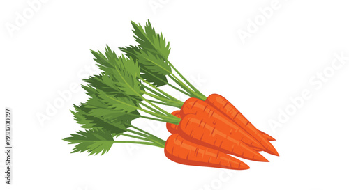 A casual bundle of five bright orange carrots with long, bushy green leafy tops is laid at an angle on a clean white background.