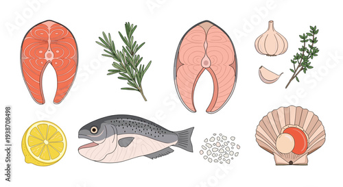 A varied collection of ten culinary ingredients, including salmon steaks, a whole fish, a scallop, lemon, herbs, garlic, and salt, is artfully scattered across a pristine white surface.