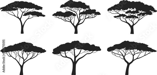 Acacia tree silhouette collection with wide flat canopies, African savanna landscape illustration, ecological artwork and botanical design elements