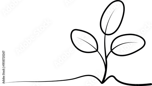 vector illustration of a plant.simple line art of a small plant