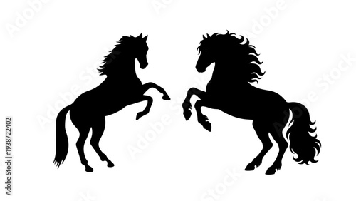 Equestrian Silhouette: Two majestic horses rear up against a crisp backdrop. a symbol of strength and freedom, the dark figures capture the essence of equine grace and power.