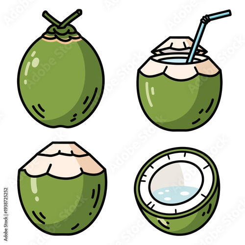 Fresh green coconut icon, young coco nut for tropical summer drink and organic beverage vector illustration.
