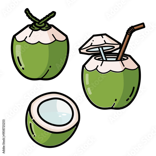 Fresh green coconut icon, young coco nut for tropical summer drink and organic beverage vector illustration.
