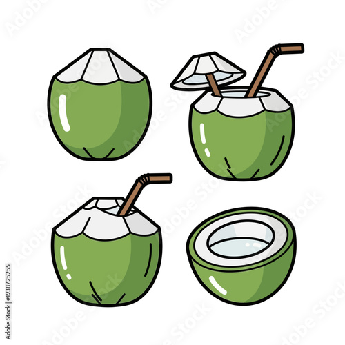 Fresh green coconut icon, young coco nut for tropical summer drink and organic beverage vector illustration.