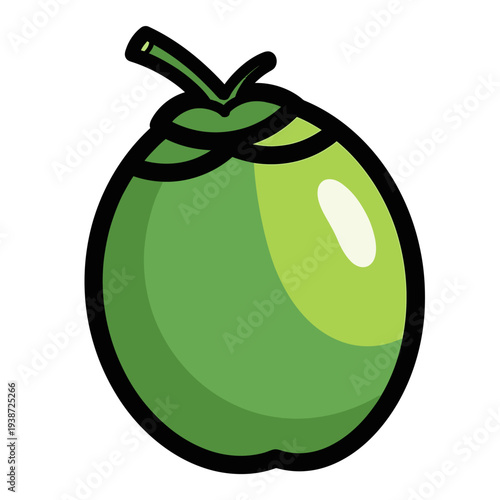 Fresh green coconut icon, young coco nut for tropical summer drink and organic beverage vector illustration.