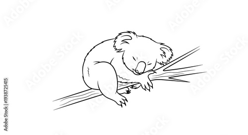 A cute koala bear sleeping peacefully on a tree branch in a minimalist line art illustration