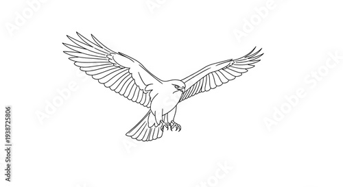 A minimalist line art illustration of a bird in flight with outstretched wings