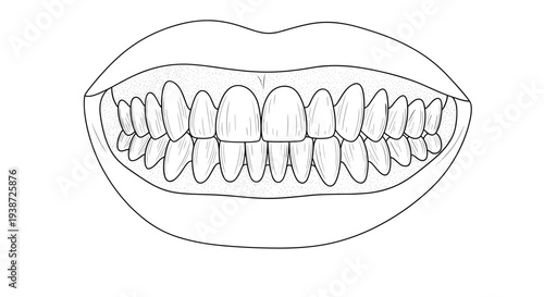 A detailed illustration of a smiling mouth with healthy teeth